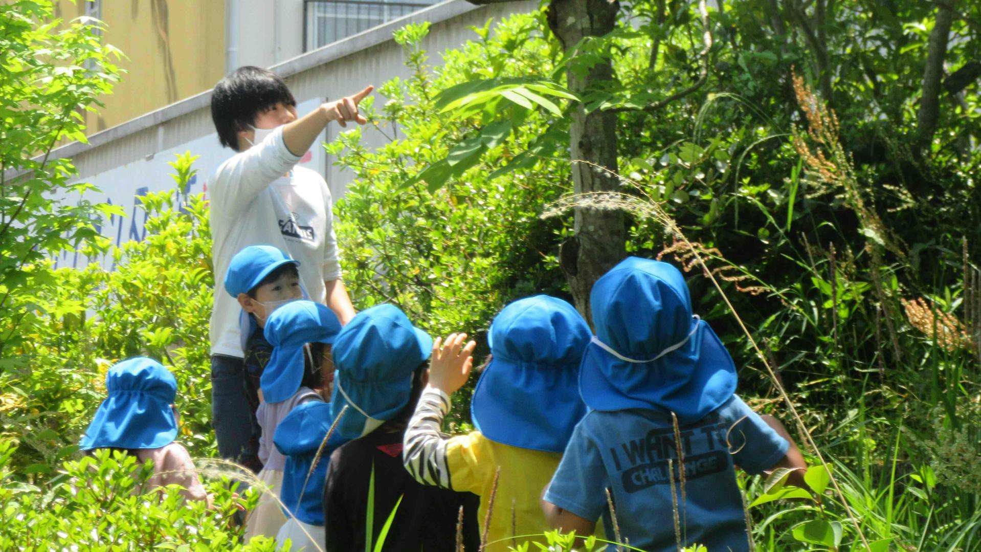 子ども達と四季折々の自然を身近に感じられる職場です