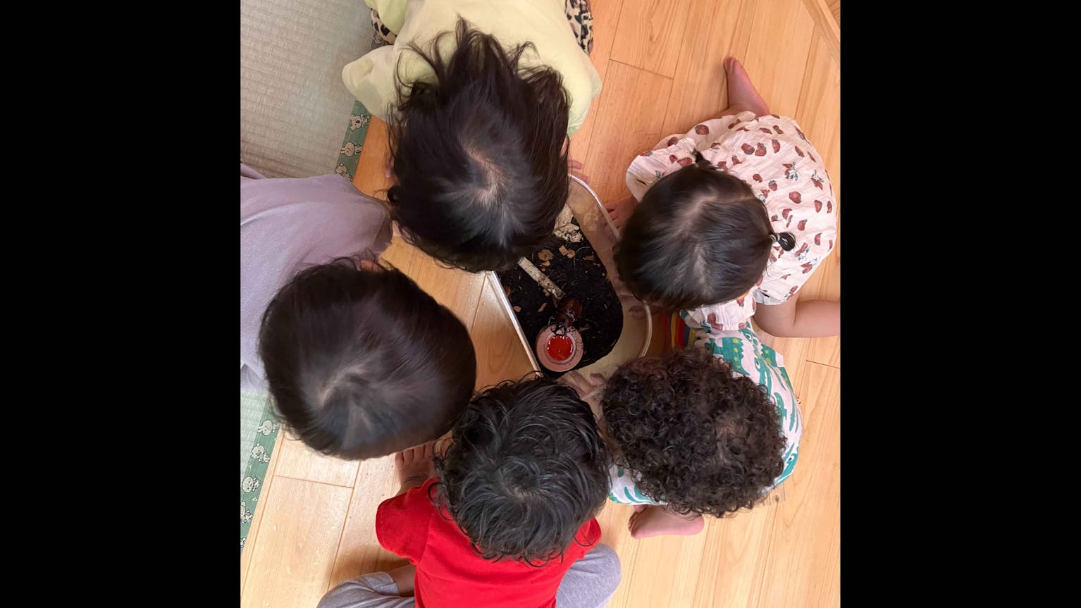 0~2歳児対象の小規模の認可保育園です