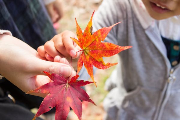 自然や虫と触れ合いながら楽しく働ける職場です！