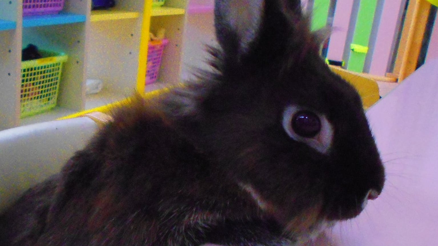 小規模保育園のスポットスタッフ♩