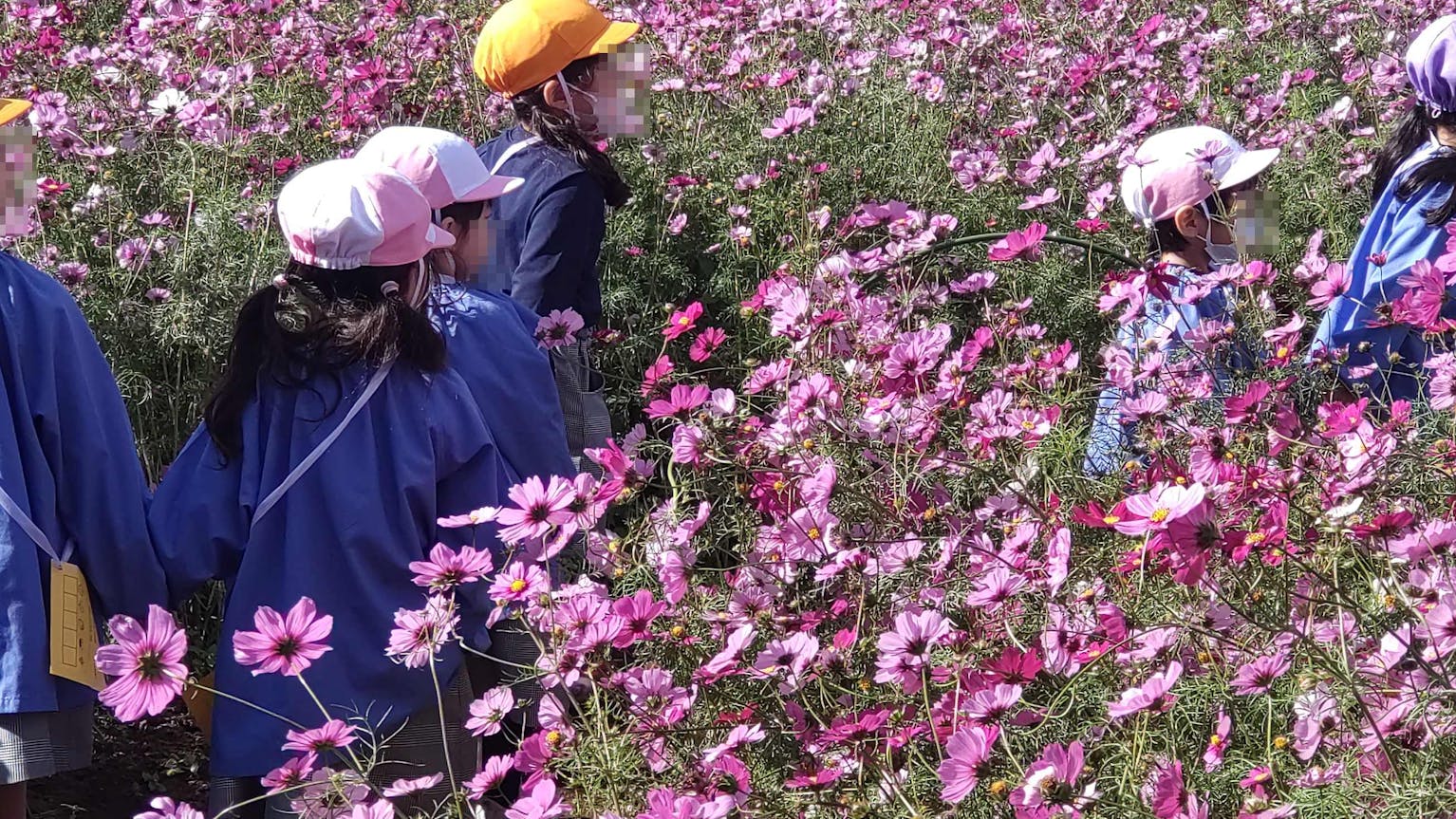 明るく働きやすい職場で　こども大好きな方一緒に働きませんか