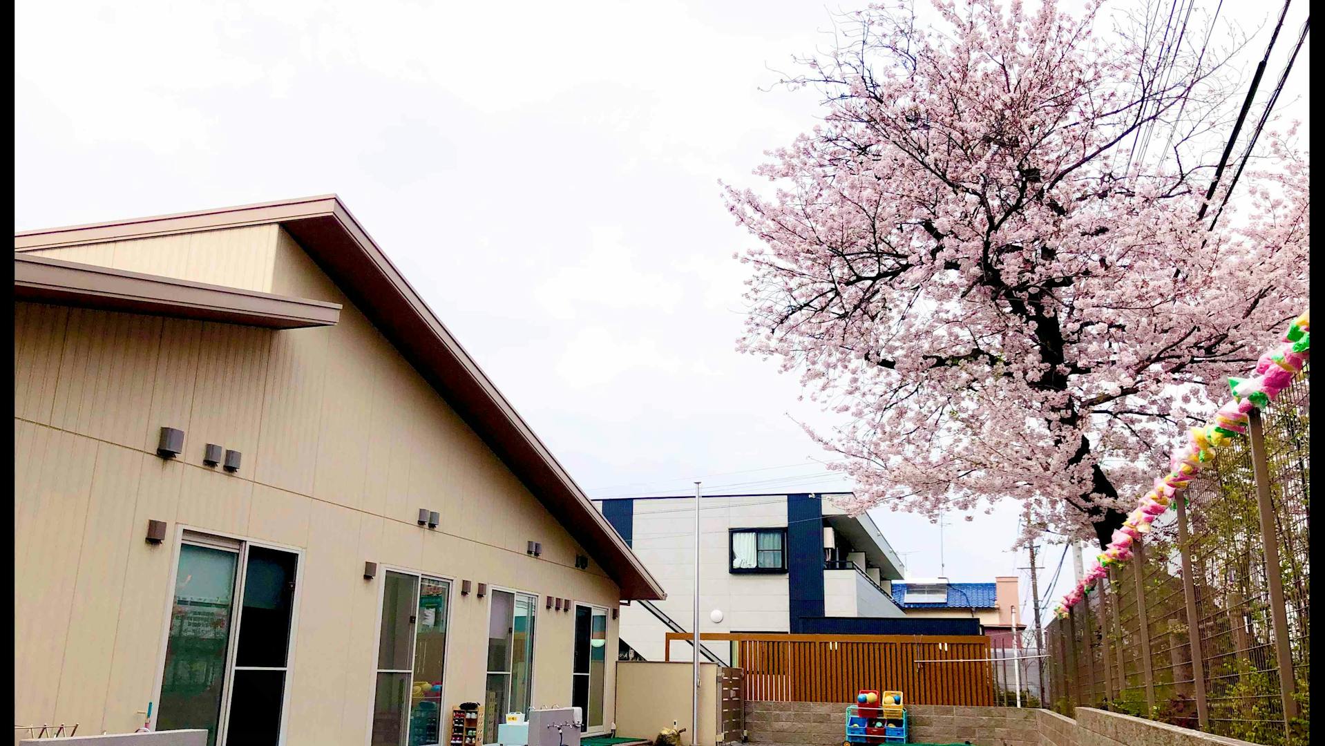 【週３日～勤務OK】定員60名の認可保育園です