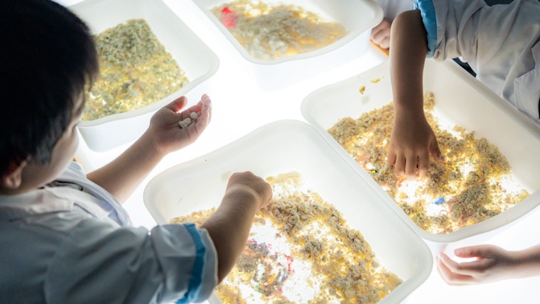 子どものわくわくドキドキを引き出す「サイエンス＋」が、もりのなかま保育園にもたらした変化