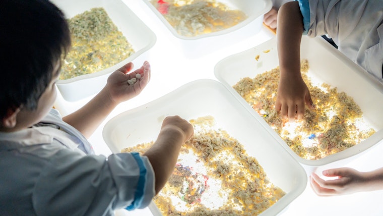 子どものわくわくドキドキを引き出す「サイエンス＋」が、もりのなかま保育園にもたらした変化