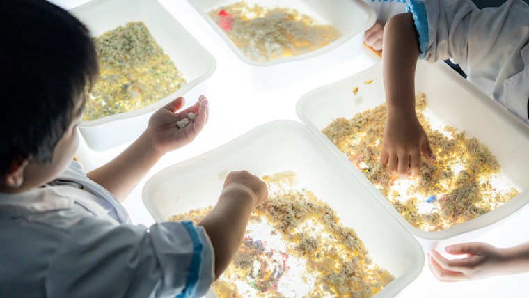 子どものわくわくドキドキを引き出す「サイエンス＋」が、もりのなかま保育園にもたらした変化