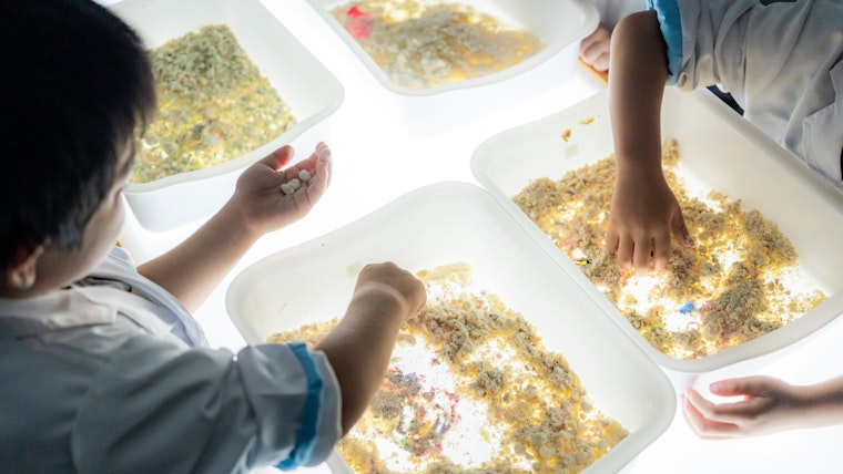 子どものわくわくドキドキを引き出す「サイエンス＋」が、もりのなかま保育園にもたらした変化